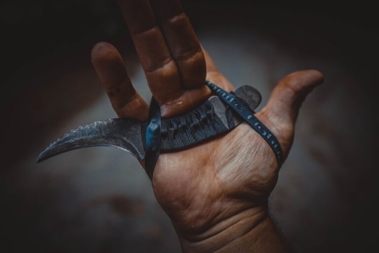 karambit arma